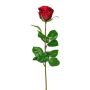 Dekorativ blomma, ros NORLAN, röd, 70cm, Ø8cm
