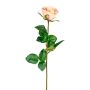 Dekorationsblomma ros NORLAN, rosa-krämfärgad, 70cm, Ø8cm