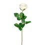 Dekorationsblomma Rose NORLAN, krämfärgad, 70cm, Ø8cm