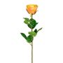 Dekorationsblomma Rose NORLAN, aprikos, 70cm, Ø8cm