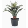 Konstgjord suckulent drakträd-agave RUPUN i dekorativ kruka, grön, 45cm