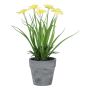 Konstblomma narcis ZORKLEM i dekorativ kruka, gul, 22cm