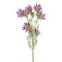 Dekorativ kvist av kungsprotea ZALRIN, cerise, 80cm