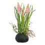 Plastblomma druvhyacint HUNMY i jordklump, rötter, rosa, 22cm