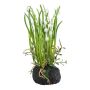 Plastblomma liljekonvalj PERFAS i jordklump, rötter, vit, 22cm