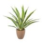 Konstgjord Agave furcraea gigantea SININ i terrakottakruka, grön-krämfärgad, 85cm