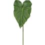 Konstblad Calla LORTE, grönt, 75cm