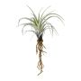 Konstgjord suckulent Tillandsia stricta SNELDON med rötter, grön, 22cm