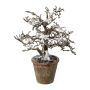 Konstgjord bok BONKA, lövlös, snötäckt, dekorativ kruka, vit-brun, 24cm