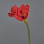 Dekorationsblomma Amaryllis BELAV, röd, 70cm, Ø5-13cm