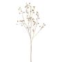 Dekorativ kvist potatisros BLINTO med nypon, metallic-guld, 135cm