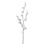 Dekorativ kvist bomull GRIFON med frukter, vit, 90cm