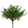 Dekorativ växt Muehlenbeckia ZORHAN, sticka, grön, 28cm