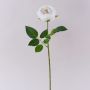 Konstgjord kålros MARNUK, krämvit, 60cm, Ø9cm