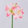 Konstgjord amaryllis SARNUK, vit-rosa, 80cm