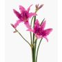 Konstgjord daglilja ZAXIL med blommor, violett, 75cm