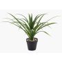 Konstgjord palm Yucca rostrata POLLYANNA, dekorativ kruka, crossdoor, 35cm
