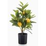 Konstgjord citronträd UALANI, konstgjord stam, frukter, 40cm