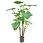 Konstväxt Alocasia calidora NOKJAN, grön, 120cm