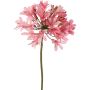 Konstgjord agapanthusblomma KAFENA, ljusrosa, 90cm, Ø20cm