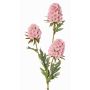 Konstgjord gren av skäggnejlika STERMYN, rosa, 75cm, Ø6,5-8,5cm