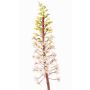 Konstgjord blomma, krönlilja ZERFIM, vit-grön, 90cm