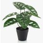 Konstväxt Philodendron monstera adansonii PRUMEX, dekorativ kruka, 28cm