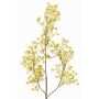 Konstgjord gren av slöjblomma MURMYN, gulgrön, 65cm