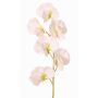Konstgjord blomma Lathyrus WAHNY, vit-grön, 45cm, Ø5,5cm