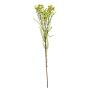 Konstgjord kvist med vaxblomma MEDEA, grön-cerise, 80cm, Ø6cm