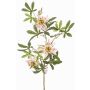 Konstgjord gren passionsblomma WEPUNY, violett-vit, 75cm, Ø7-10cm