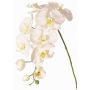 Dekorativ kvist med Phalaenopsis-orkidé WESA, vit, 90cm, Ø11-12,5cm