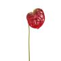 Konstblomma Anthurium SAMBANA, röd-grön, 65cm