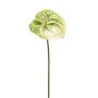 Konstblomma Anthurium SAMBANA, grön-kräm, 65cm