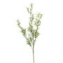 Konstgjord Asparagus sprengeri-gren SAMBENO, grön, 80cm