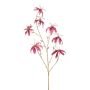 Sammet Gloriosa KAZBEK, antikrosa-guld, 110cm