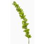 Stor konstgjord blomma, irländsk klocka SOTO, grön, 105cm