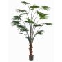 Konstgjord palm, rundbladig paraplypalm SIRRAH, grön, 240cm