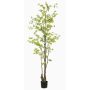 Konstträd nasturtium SULLA, konststam, grön, 210cm