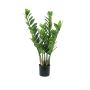 Konstgjord Zamioculcas Zamiifolia AKELA, 70cm