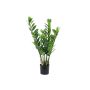 Konstgjord Zamioculcas Zamiifolia AKELA, 70cm
