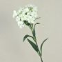 Konstgjord blomma, skäggnejlika SUSILAWA, vit-krämfärgad, 55cm