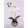 Konstblomma, orkidé Phalaenopsis NAPIRAI, kruka, vit, 30cm