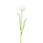 Tulpan ISHITA i glaslook av plast, 12 st, vit, 60cm