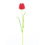 Plasttulpan ISHITA i glaslook, 12 stycken, röd, 60cm
