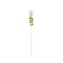 Plastros EVARISTO i glaslook, 12 st, vit, 80cm