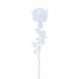 Plastros EVARISTO i glaslook, 12 stycken, transparent, 80cm