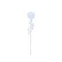 Plastros EVARISTO i glaslook, 12 stycken, transparent, 80cm
