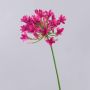 Dekorativ konstblomma Agapanthus PHILINA, cerise, 75cm, Ø14cm