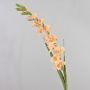 Konstgjord blomma gladiolus THEOPHORA, aprikos-rosa, 110cm, Ø6-10cm
